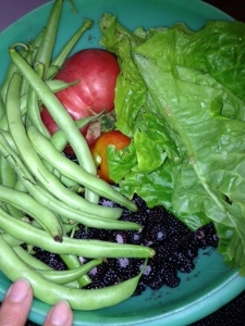 Yesterday's harvest from the Matile Manse garden and the stand of wild black raspberries in our backyard.