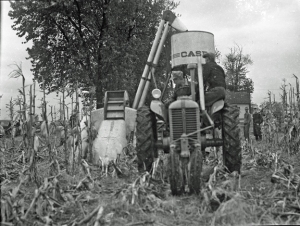 Sometime in the 1940s, Graeme Stewart picks a field of Corn Belt Dent corn on his Oswego Township farm. Nowadays, the corn harvest is completed with giant combined harvesters that pick and shell the corn right in the field. (Little White School Museum collection)