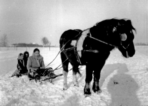 My sisters and a cousin urge the ever-suffering and ever-patient Dobbin to pretend to be a driving horse in this undated snapshot taken on our Wheatland Township farm.