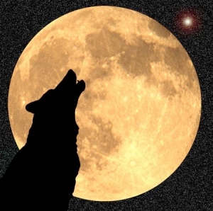 January's Full Wolf Moon probably got its name from the howls the Native People heard on winter evenings as they gathered in their lodges.