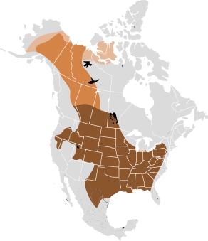 American Bison Range