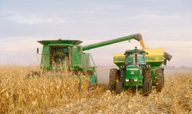 modern corn harvest