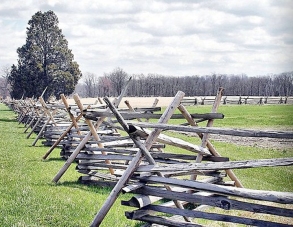 Virginia rail fence