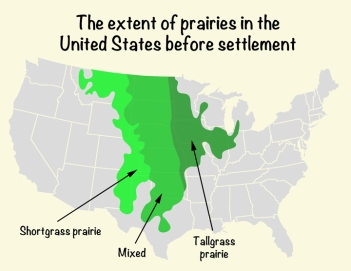 Historic prairies in the US