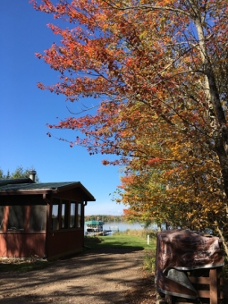 2017 10-6 Fall color at the lake.jpg