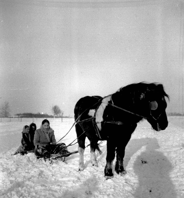 1945 abt Dobbin &amp; sled
