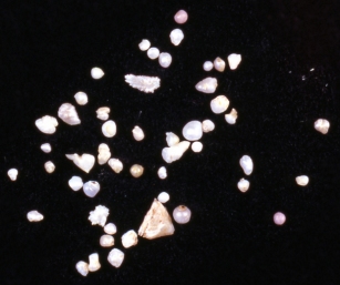 Fox River pearls