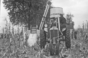 3 1938 Husking Stewart corn